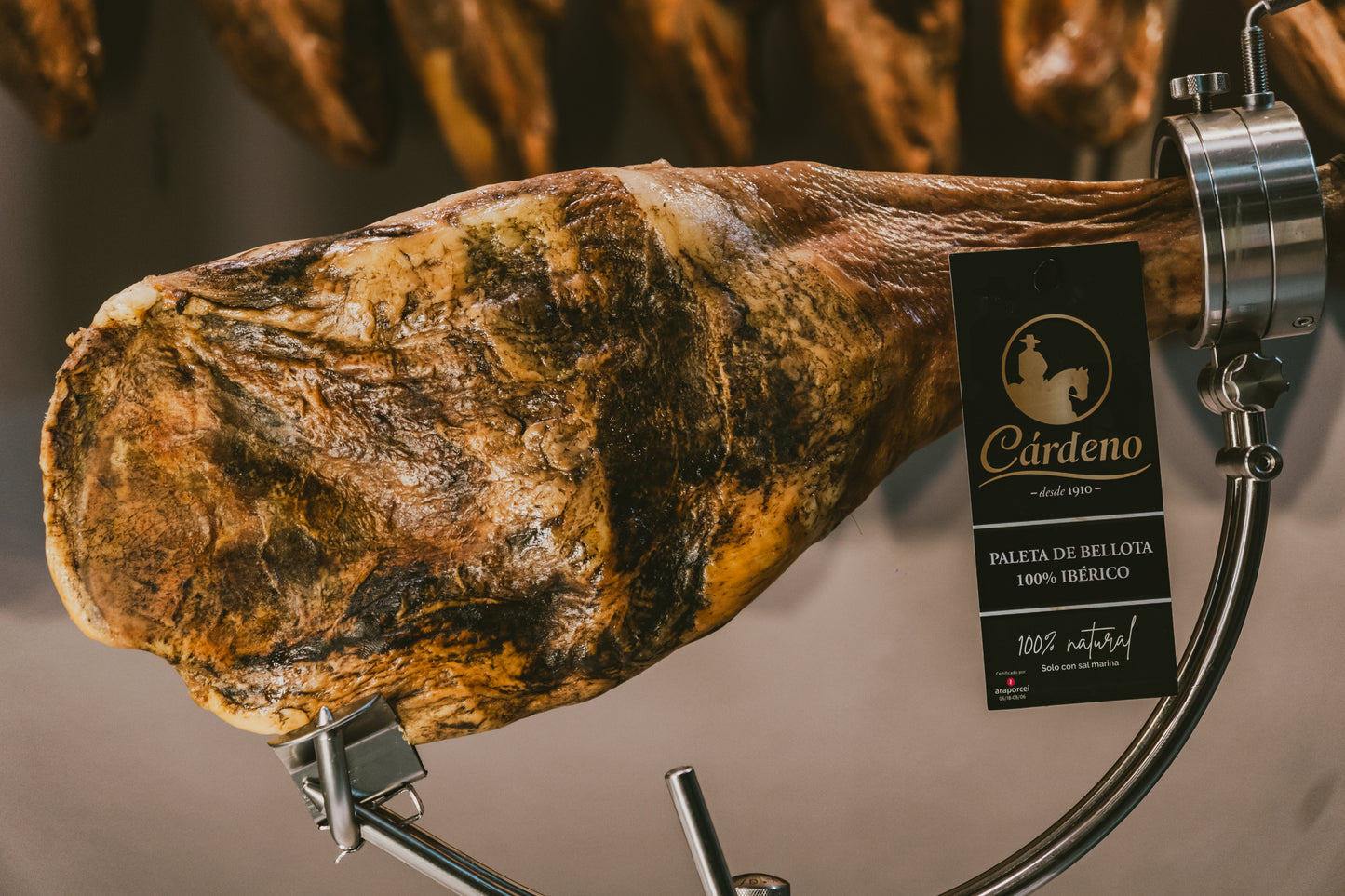 Paleta de bellota 100% ibérico