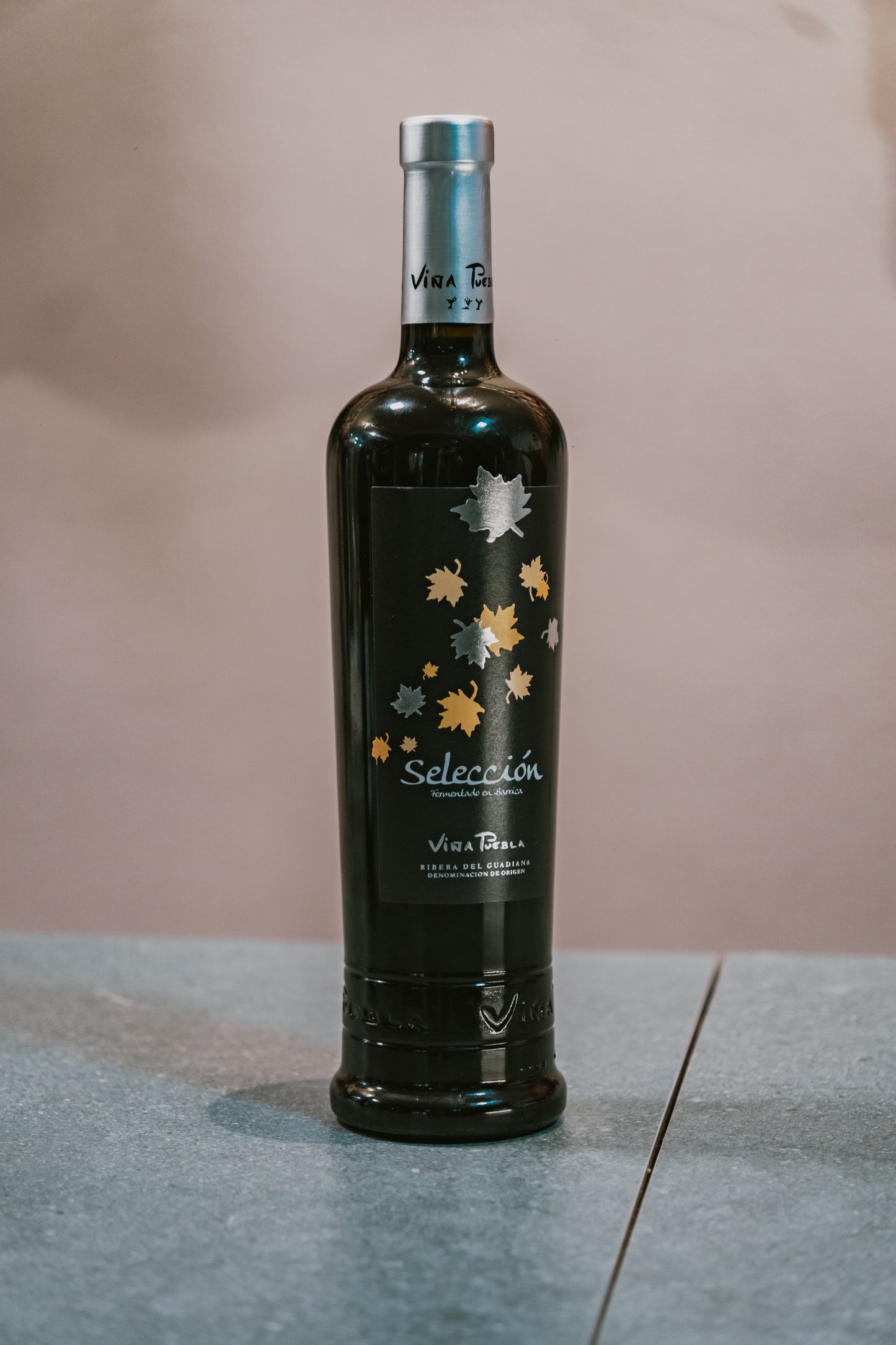 Viña puebla selección
