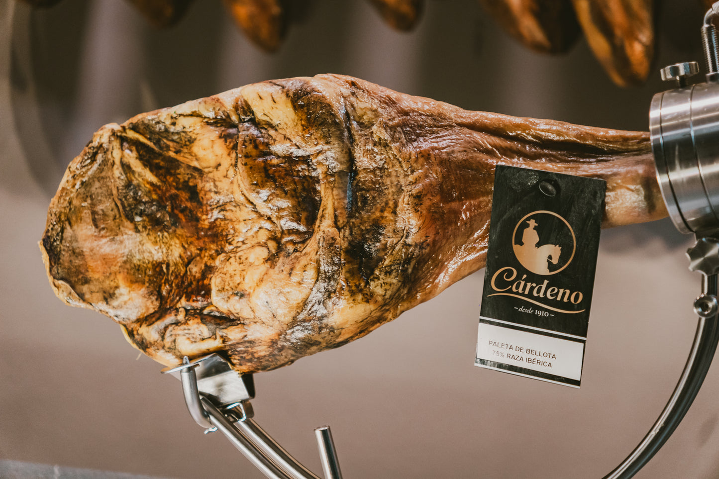 Paleta de bellota 75% raza ibérica